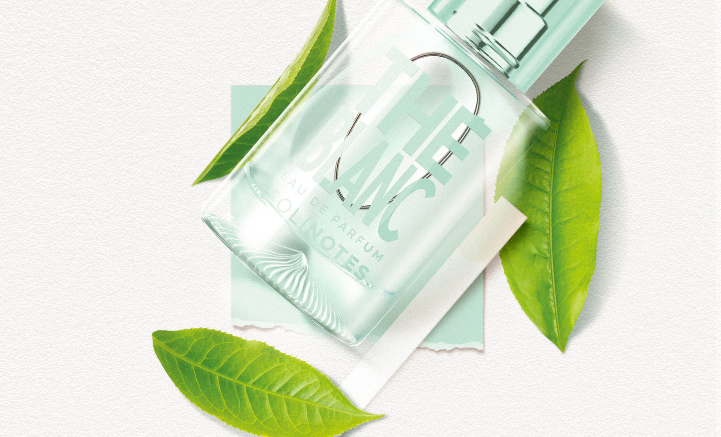 Blanc | Perfume 15ml