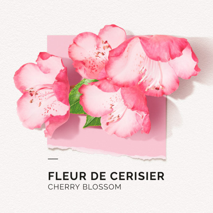 Cherry Blossom | Perfume 15ml