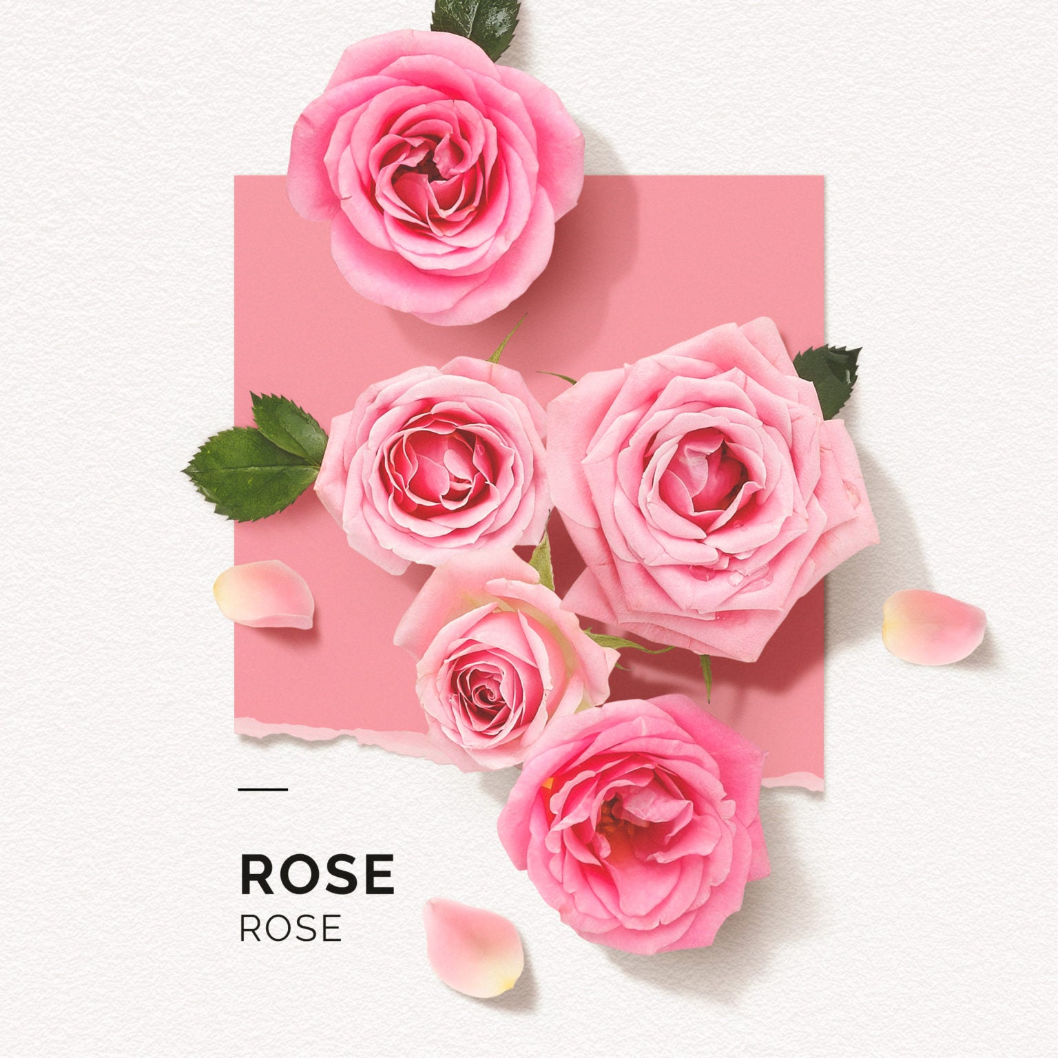 Pink Rose | Perfume 15ml